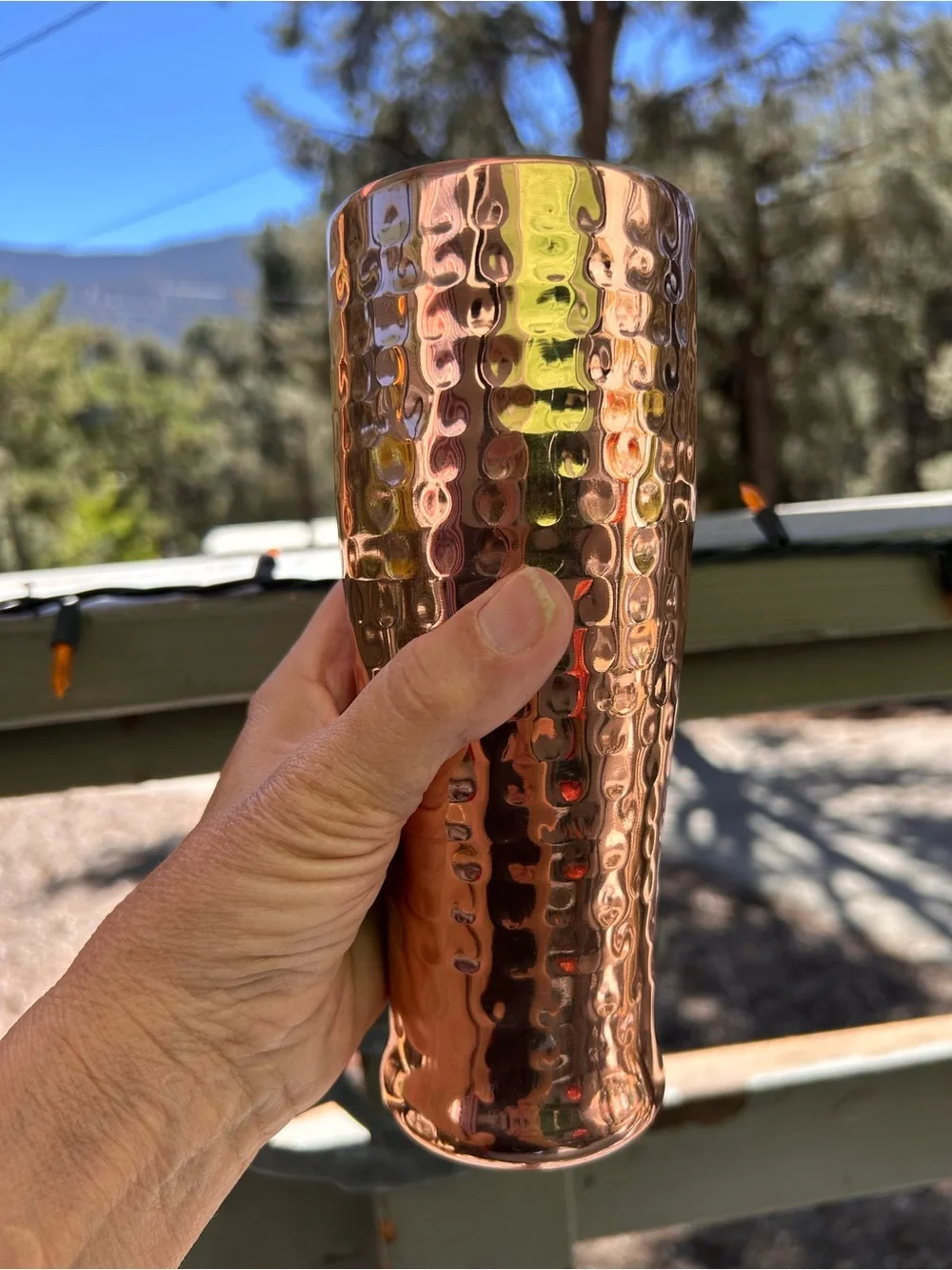 Vintage Pier 1 imports, Pilsner made in India copper stainless steel